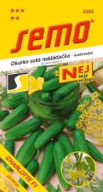 Okurka nakládačka Charlotte F1